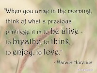 /album/think-positive-info/markous-aurilious-quotes-life20-jpg/